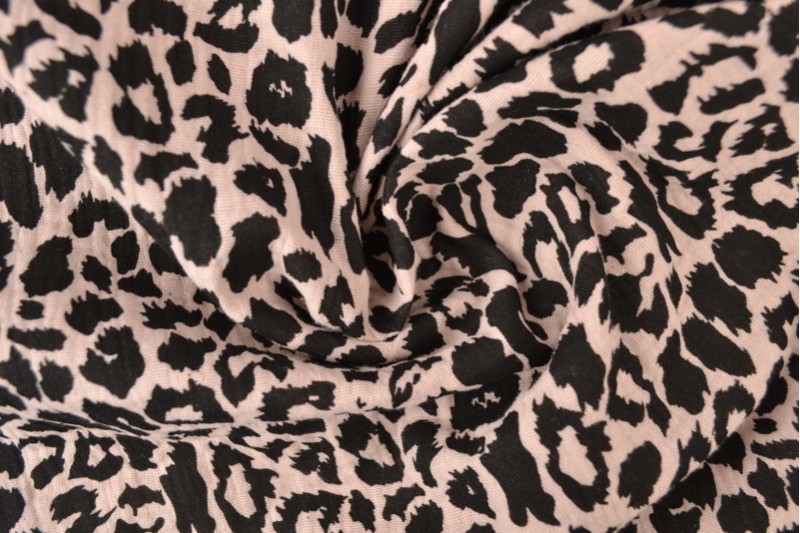 Print 02-19