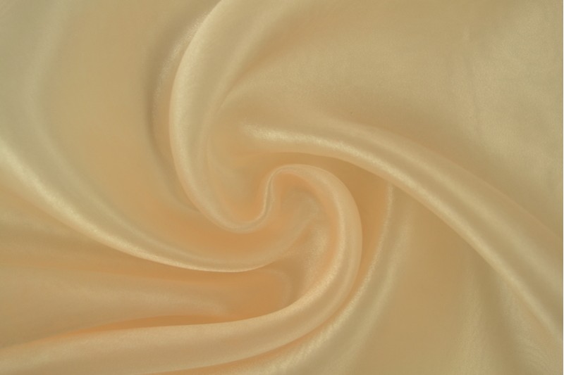 Organza champagne