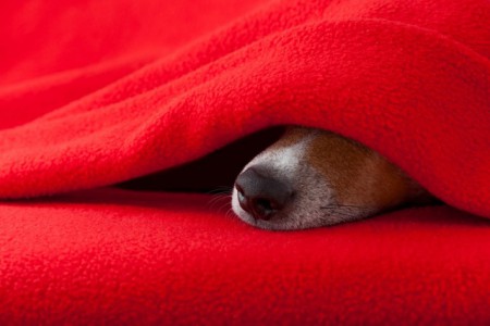 Polar fleece, toepassingsvoorbeeld