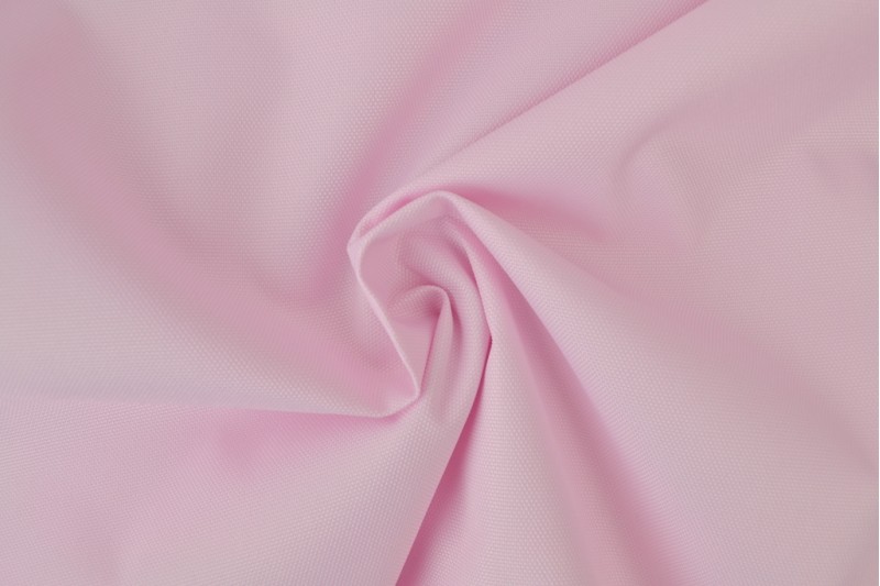 Baby Roze